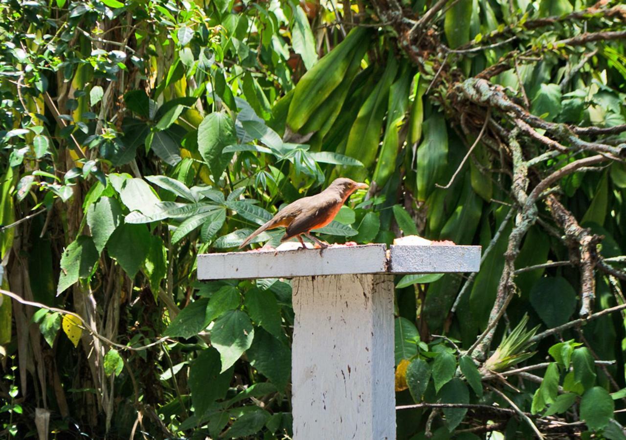 Pousada Renascer Ilha do Mel Exterior foto